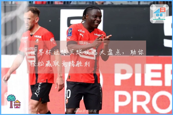 世界杯让球买球攻略大盘点，助你轻松赢取竞猜胜利