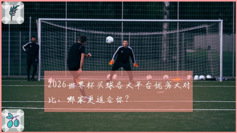 2026世界杯买球各大平台优劣大对比，哪家更适合你？