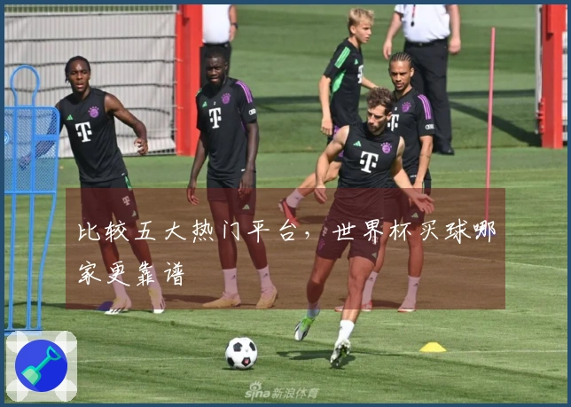 比较五大热门平台，世界杯买球哪家更靠谱