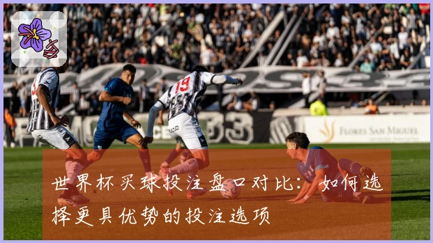 世界杯买球投注盘口对比：如何选择更具优势的投注选项